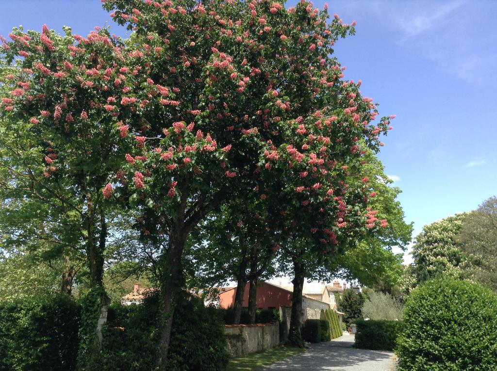 Bed and Breakfast La Grange d'Aunis Aigrefeuille-dʼAunis Exterior foto